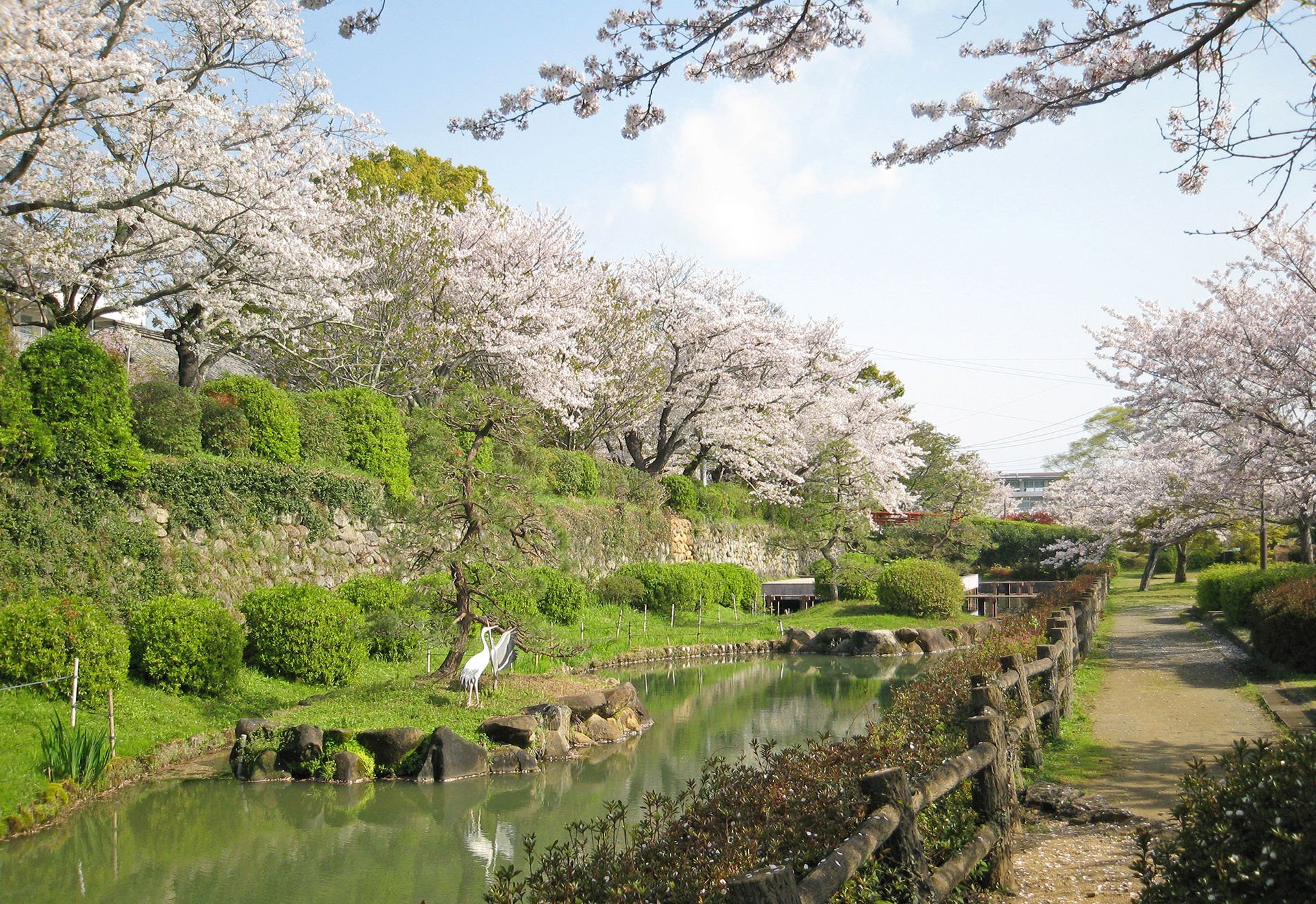 🏞️ 기비 산 공원 (기비잔 코엔) 이미지 6